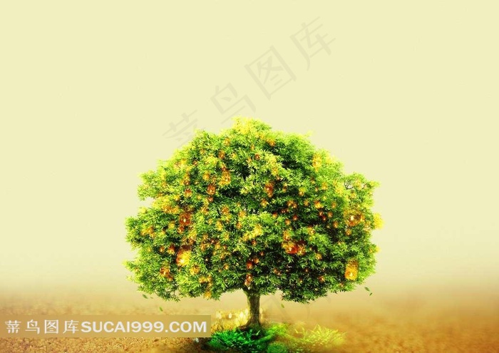 许愿树图片素材