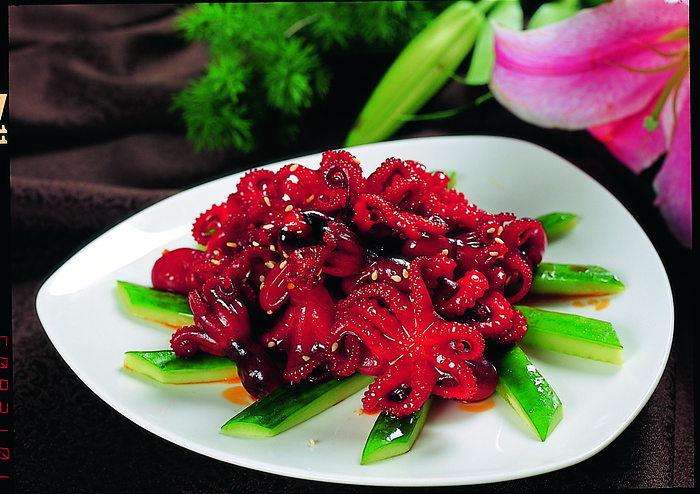 96LC-544香麻八爪鱼