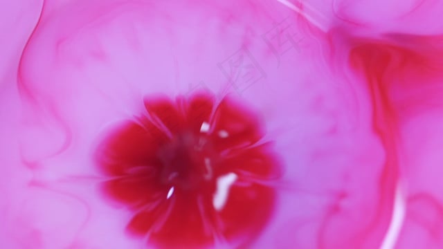 粉色的, 墨水, 降低, 白色的, 液体, 抽象, 实验