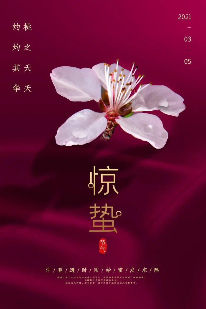 24二十四节气中国风创意惊蛰节日宣传海报模板PSD设计素材psd模版下载