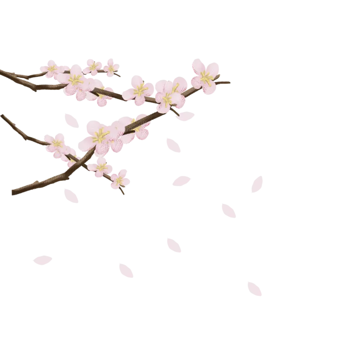 春天浪漫粉红色樱花手绘樱花梅花桃花花朵图片PNG免扣素材