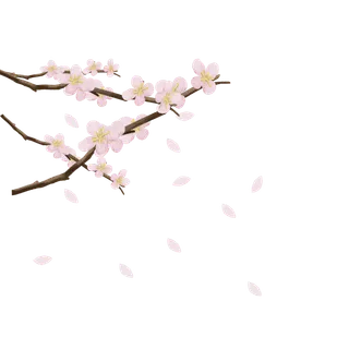 春天浪漫粉红色樱花手绘樱花梅花桃花花朵图片PNG免扣素材