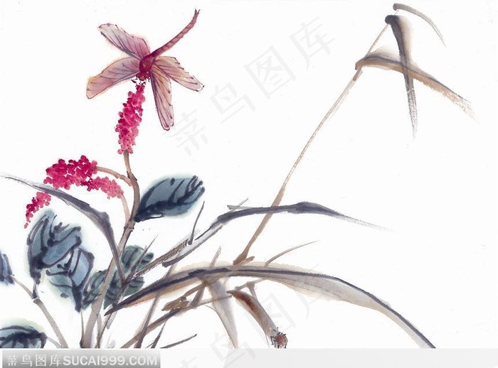 水墨画蜻蜓