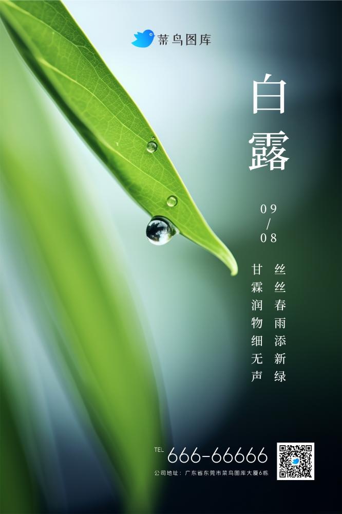 白露清新枝叶露珠绿色节气海报(2362x3543)psd模版下载
