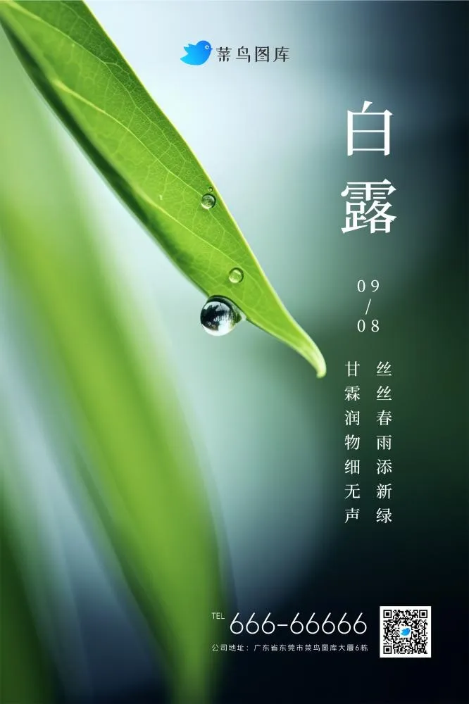 白露清新枝叶露珠绿色节气海报(2362x3543)psd模版下载