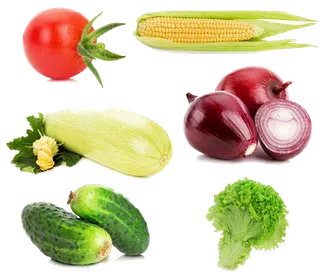 水果 免扣 素材   蔬菜