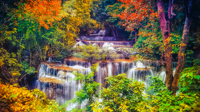 秋天森林瀑布风景树林