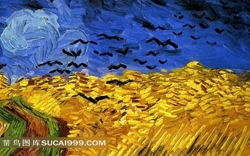 梵高 麦田的乌鸦