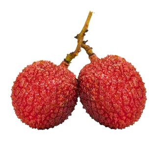 66荔枝 (1)水果超市商品白底图免抠实物摄影png格式图片透明底