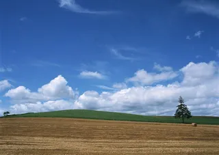 蓝蓝的天上白云飘概念摄影图片