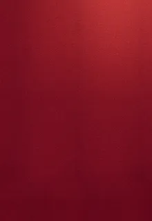 红色庄严海报背景