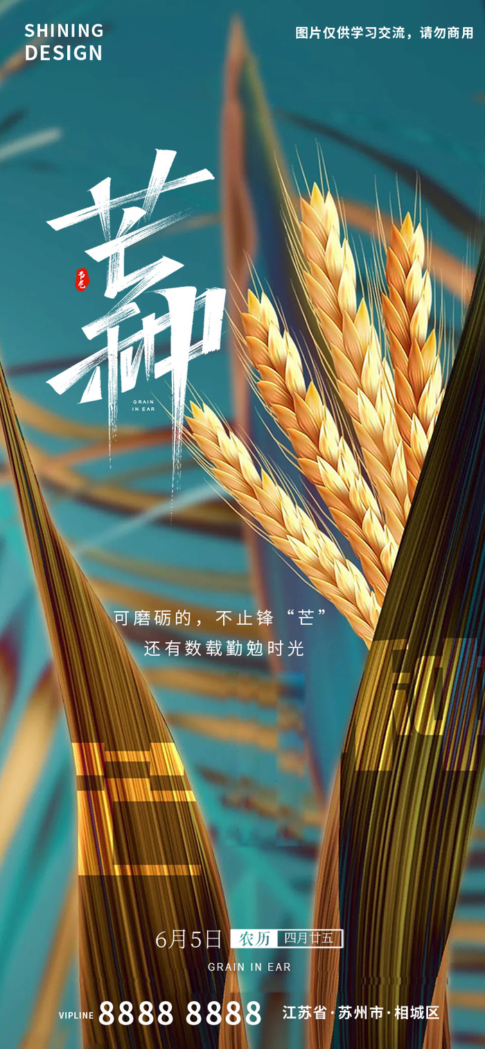 芒种高清麦子手写字体海报