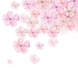 春天浪漫粉红色樱花手绘樱花梅花桃花花朵图片PNG免扣素材