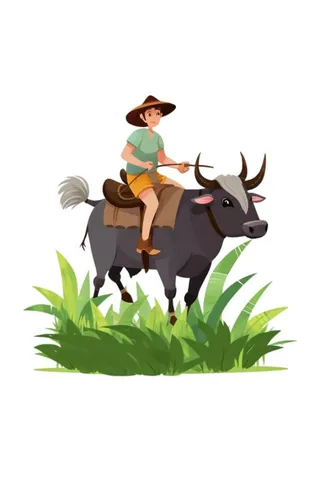 放牛插画