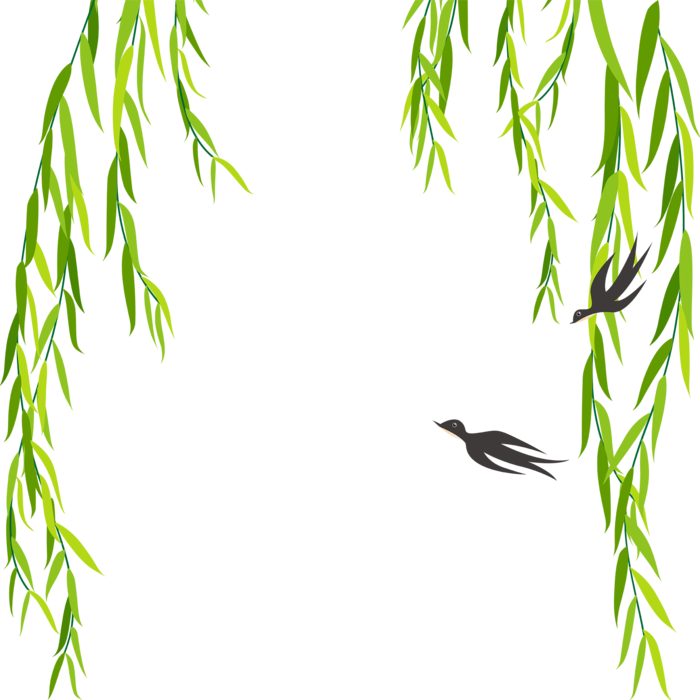 春天绿色春季水墨柳树柳条柳叶春季海报设计PNG免扣素材