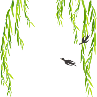 春天绿色春季水墨柳树柳条柳叶春季海报设计PNG免扣素材