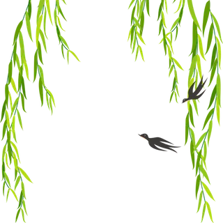 春天绿色春季水墨柳树柳条柳叶春季海报设计PNG免扣素材