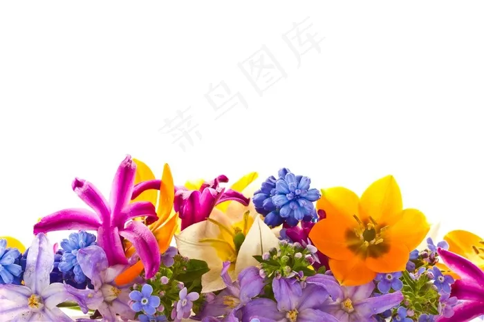 缤纷多彩鲜花边框背景高清图片