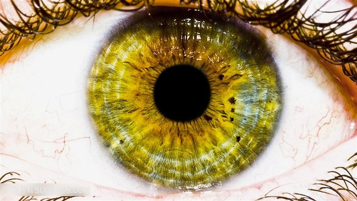 唯美眼睛壁纸