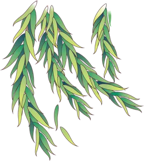 春天绿色春季水墨柳树柳条柳叶春季海报设计PNG免扣素材