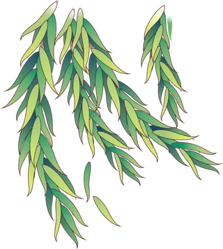 春天绿色春季水墨柳树柳条柳叶春季海报设计PNG免扣素材