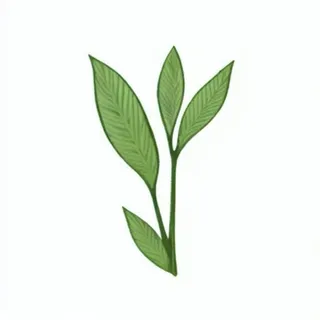 一小枝树叶png免抠