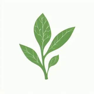 一支绿色的叶子png免抠