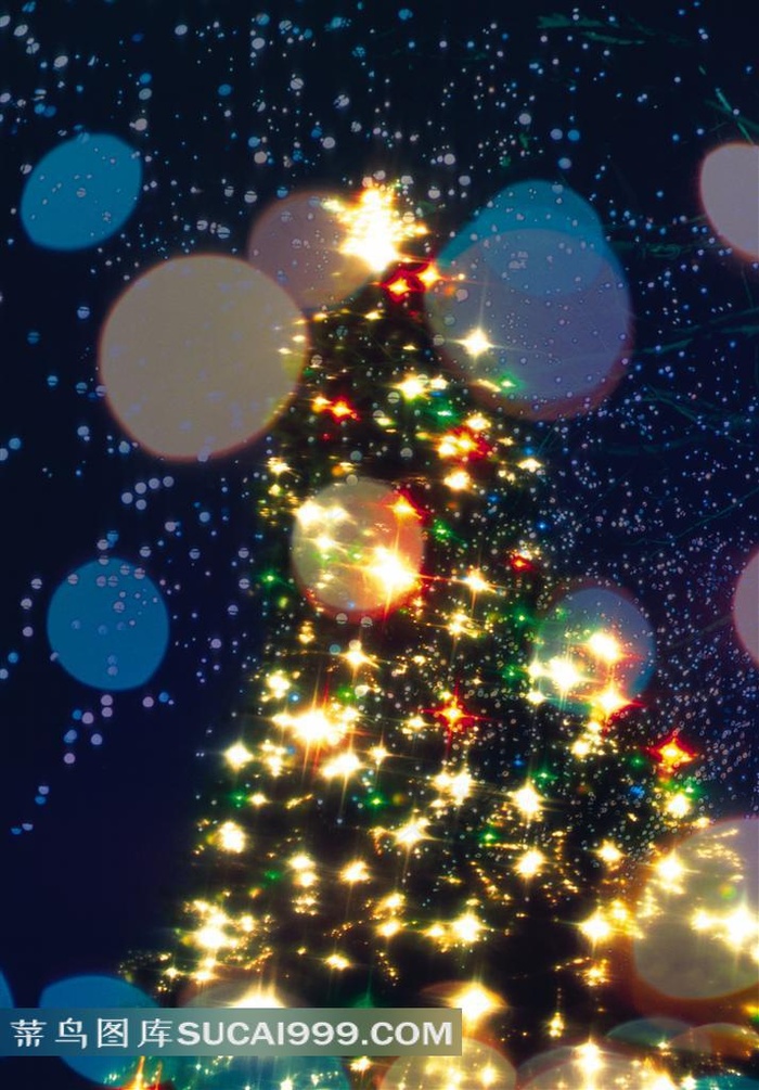 夜空下闪闪发亮的圣诞树图片素材