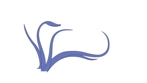 鱿鱼 PNG免抠(1920x1080)