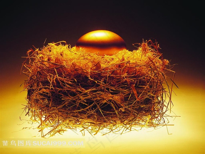 金窝金蛋素材