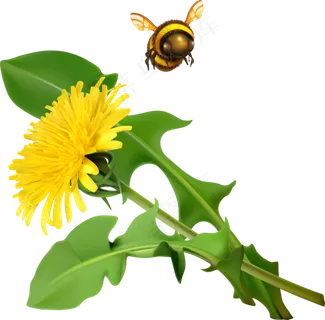 手绘草本中药药材