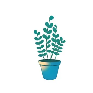 花盆花瓶植物免抠