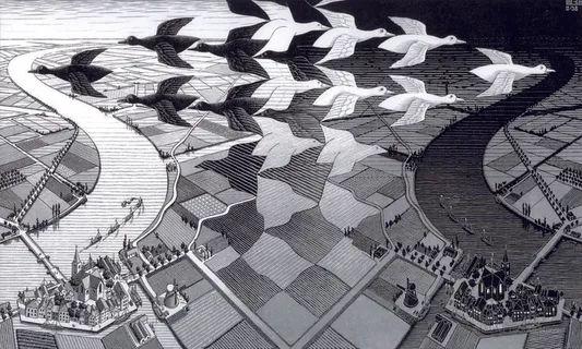 大雁田园风景画插画