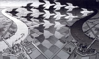 大雁田园风景画插画