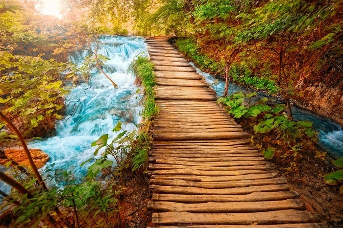 森林里美丽的木块小路风景图片
