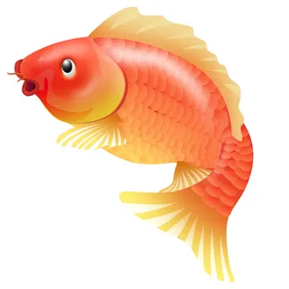 手绘烫金国潮中国风卡通锦鲤鱼金鱼插画装饰元素PSD设计素材