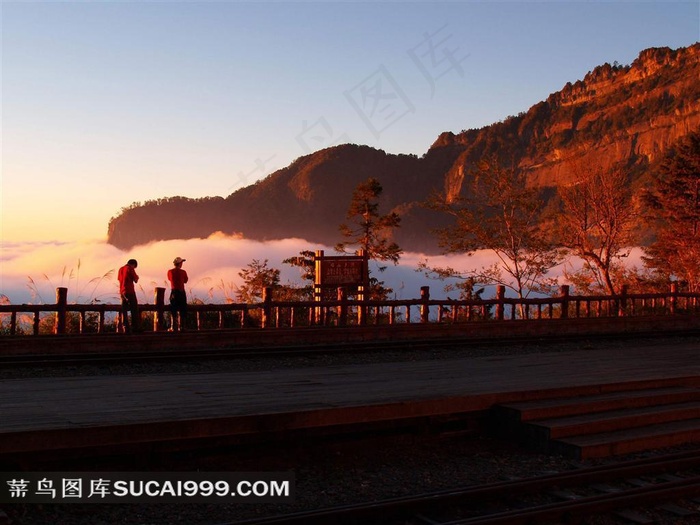 阿里山迷人风景摄影