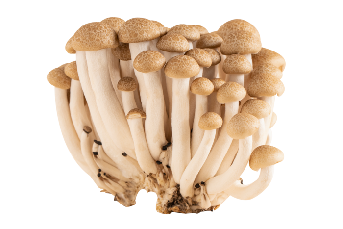 蟹味菇蔬菜素材免扣