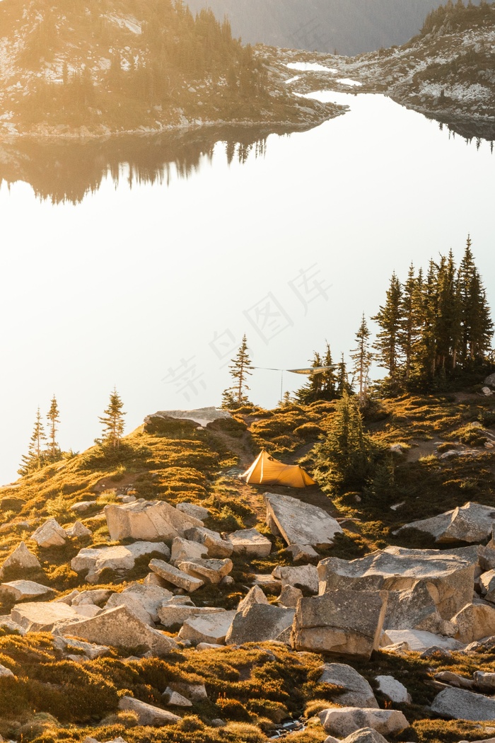 山水溪流植物图片