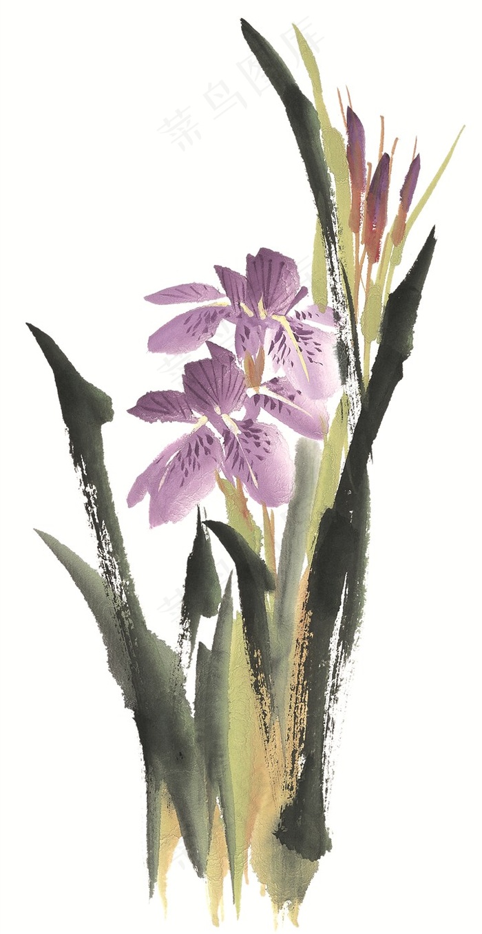 花卉大图jpg素材