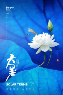 大暑 大暑宣传物料 大暑 大暑宣传物料