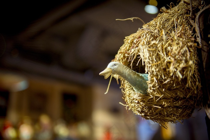 商店里的小鸭子