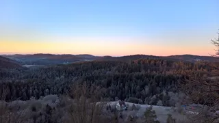 高清山林树林森林