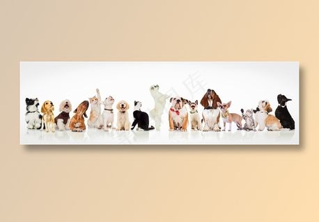 各种款式的宠物狗狗图片