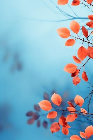 红叶大气简约蓝色背景