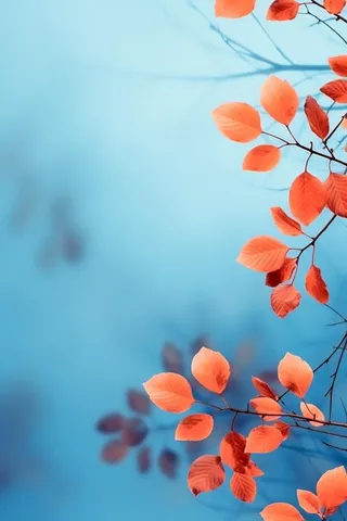 红叶大气简约蓝色背景