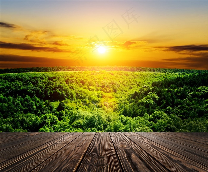 木板与黄昏森林景色