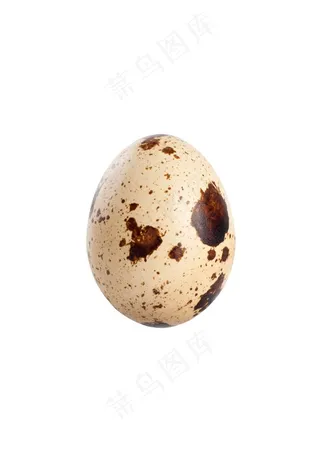 鹌鹑蛋特写高清图片