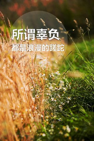 伤感文字控图片