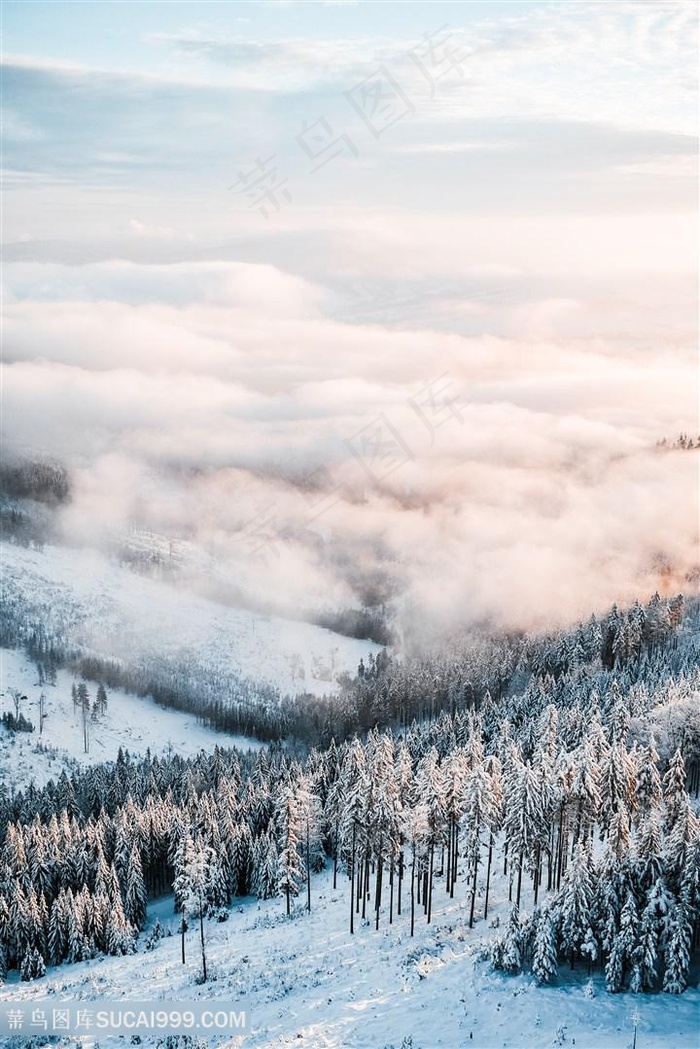 冬天山林雪景